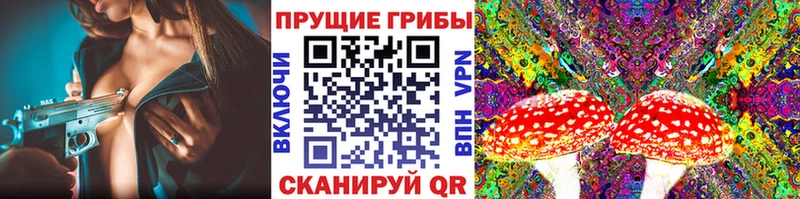 Галлюциногенные грибы Magic Shrooms  сайты даркнета Telegram  Власиха 